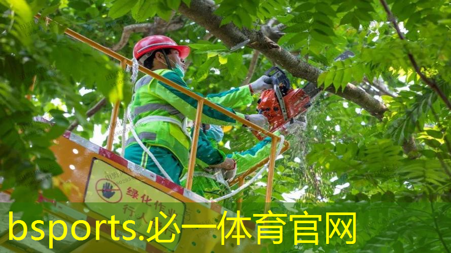 网球拍后套座怎么拆开