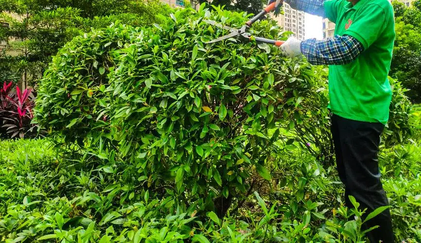 网球拍里的细绳是什么